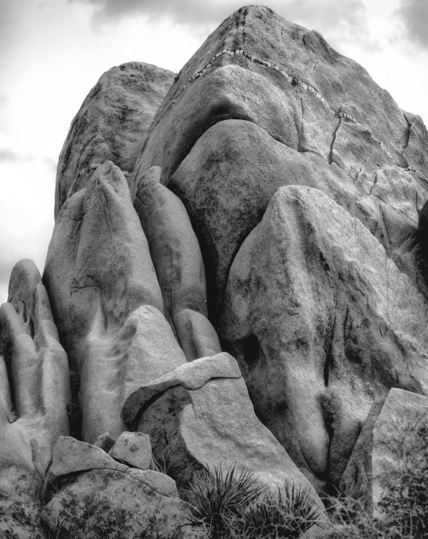 Joshua Tree National Park 3/2014