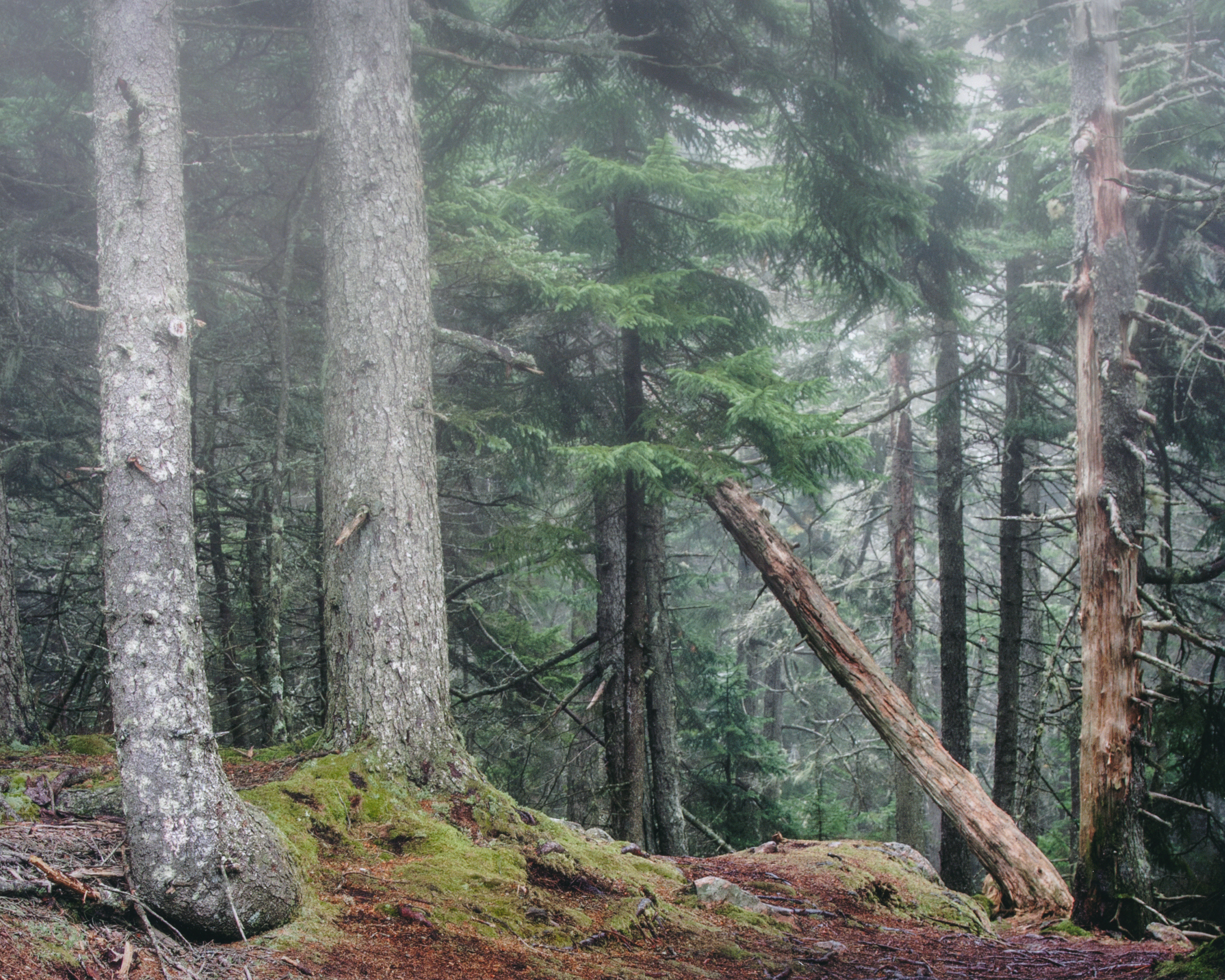 Acadia National Park 9/11/2013
