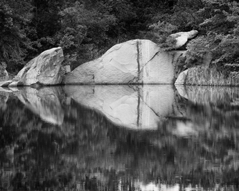 Landscape and botanical photographs from the St. Louis, Missouri area.