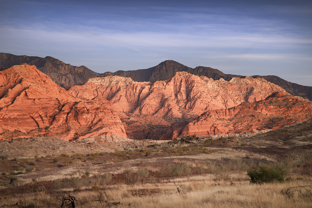 Red Cliffs Conservation Area 11/2024