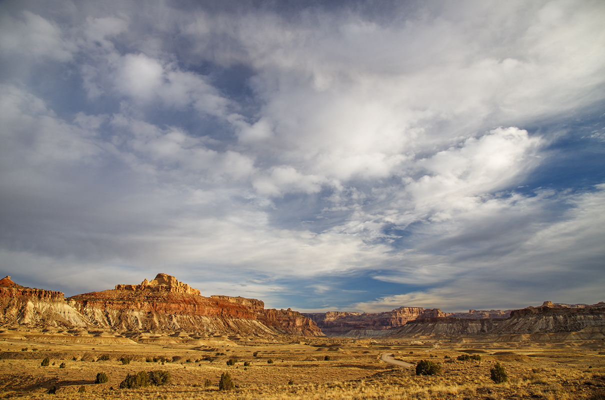 Mexican Mountain Wilderness 11/2024